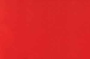 Atlasinė juostelė RB 100mm