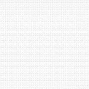 Kanva siuvinėjimui baltos spalvos 40lang./10cm